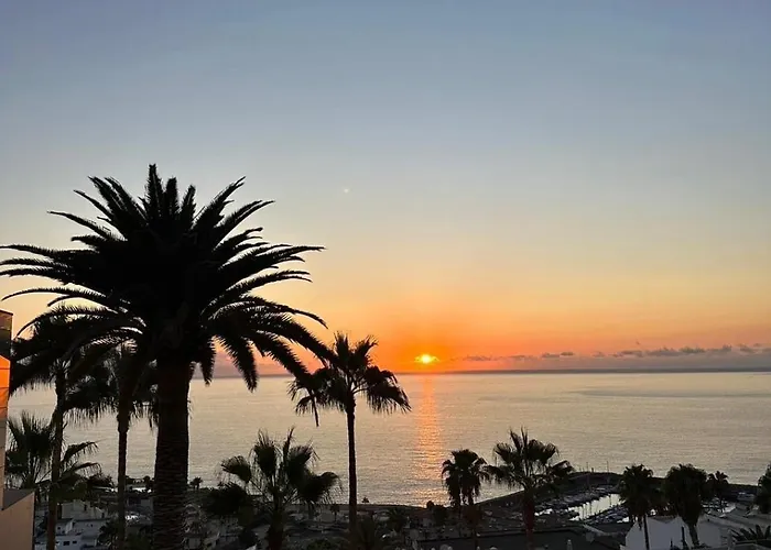 Klayman Diamond 阿坎提拉德洛斯基